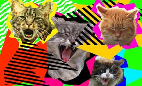 3 free GIF making apps for mobile journalists