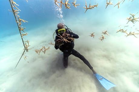 Associated Press launches multimedia series exploring citizen responses to climate change