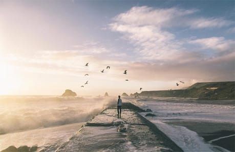 App for journalists: Plotagraph, for animating photos on your iPhone