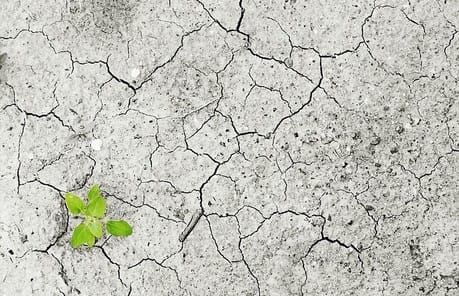 With local investigative journalism increasingly under threat, do we need new business models for news?