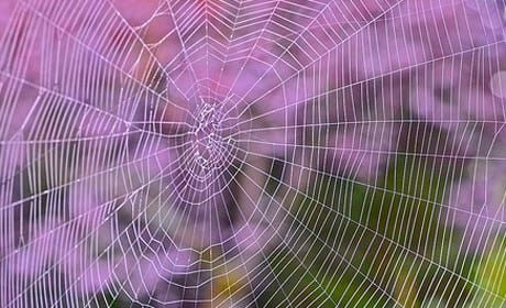 4 new ways to use social media for newsgathering