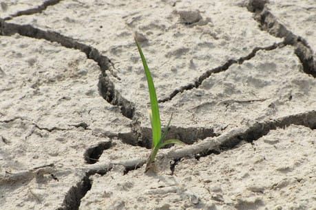 How can quality journalism thrive at a time of news deserts, misinformation and clickbait?