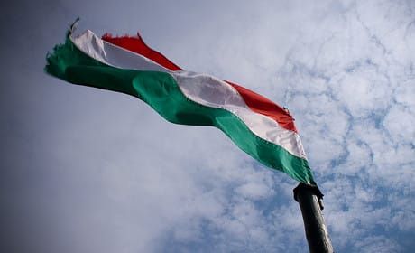 Hungary media law having 'chilling effect' on press freedom