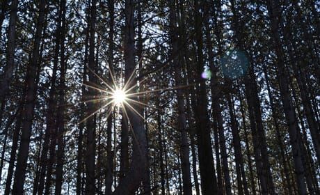 Journalists 'betrayed' by News Corp, says union