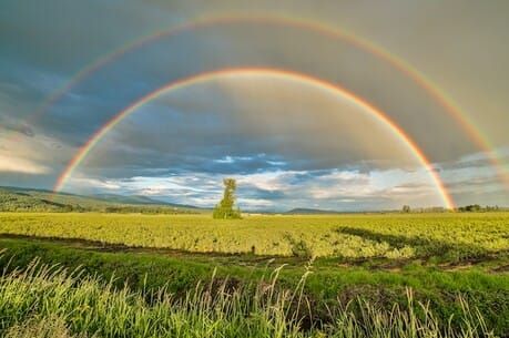 Let us make 2021 a year of good leadership, empathy and effective communication