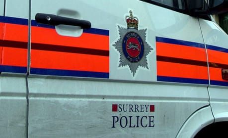 'Mischievous' media distracted Milly Dowler investigators