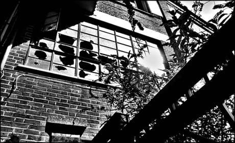 Why negative comments are like broken windows