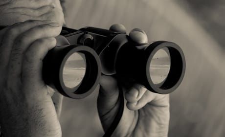 New study charts the rise of 'dark search'