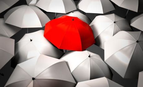 So you found a newsroom unicorn – now what?