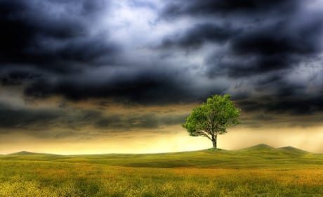 How AOL plans to tackle the 'perfect storm' as readers move to mobile