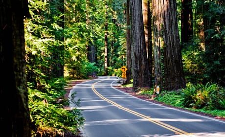 Open journalism and 'pop-up' newsrooms at Digital First Media