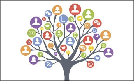 Training courses for journalists in the new year