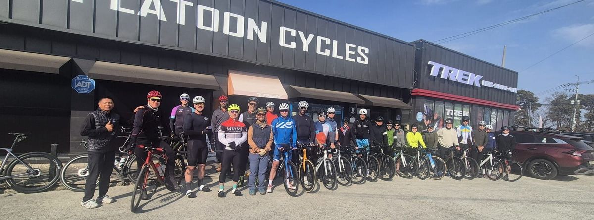 Buying a Bike in Korea vs. Shipping One from the US