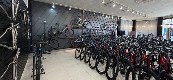 Should You Get a Bike? (And Which One)