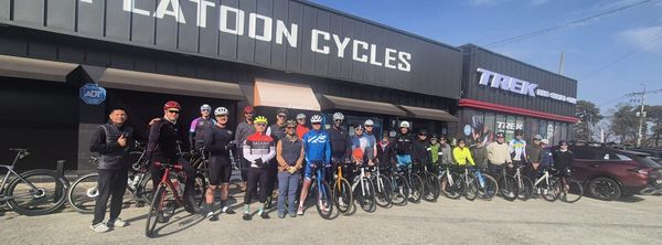 Buying a Bike in Korea vs. Shipping One from the US