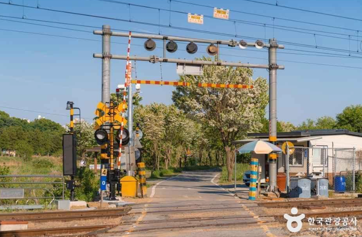 KOREA RUNS A BICYCLE TRAIN - A Bike Trip You Can Do on a Saturday