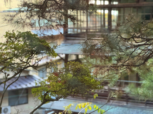 Photo by Suzi Kim on Unsplash
      