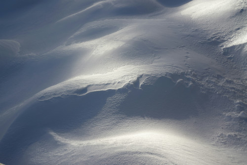 Photo by Oleg Stepanov on Unsplash
      