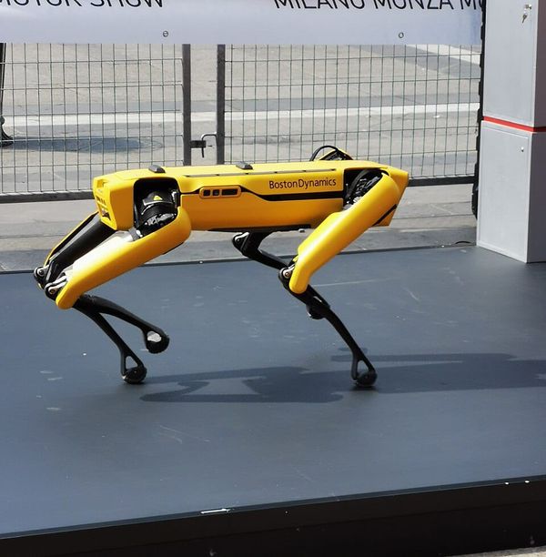 ICE Agents Will Be Backed By Robots