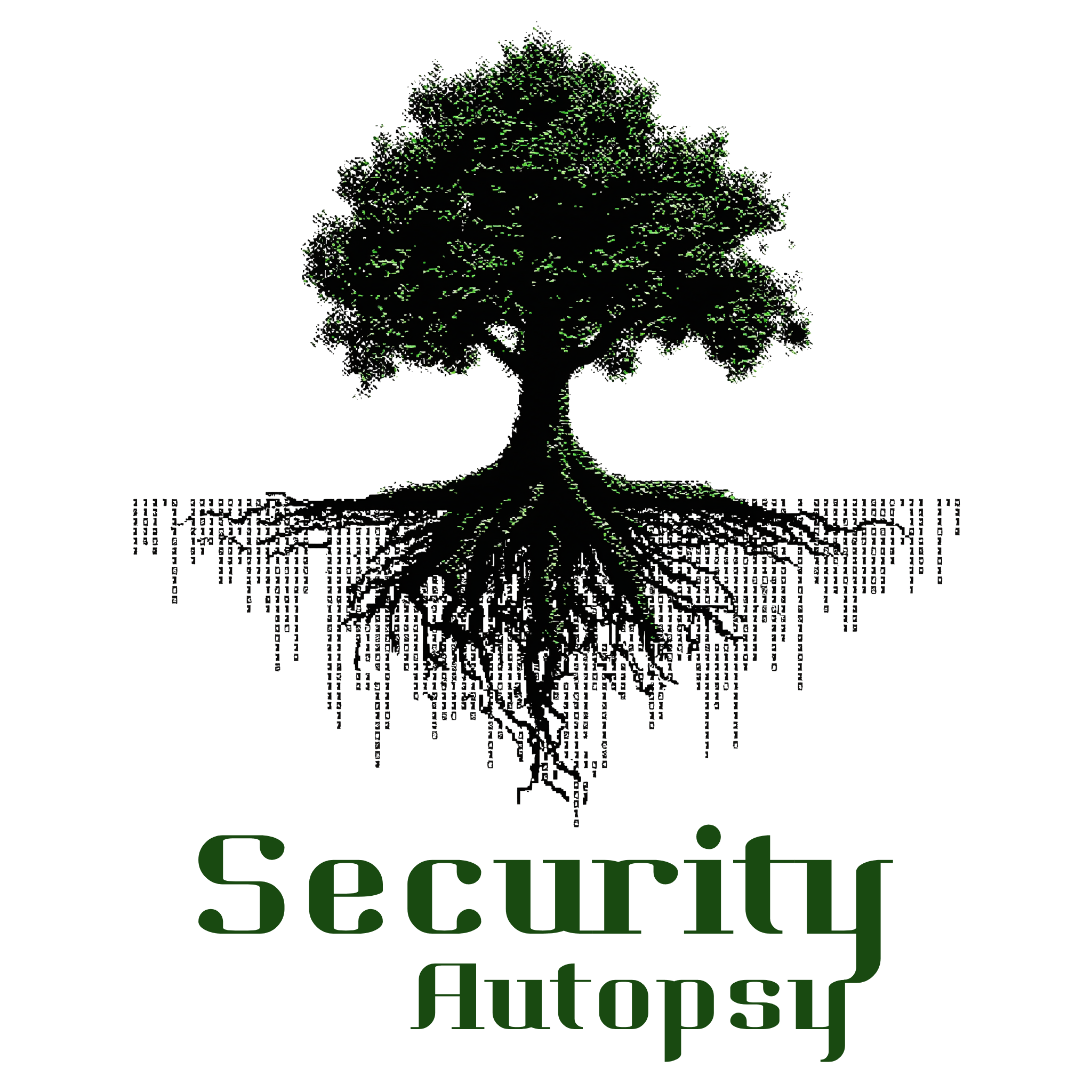 Security Autopsy