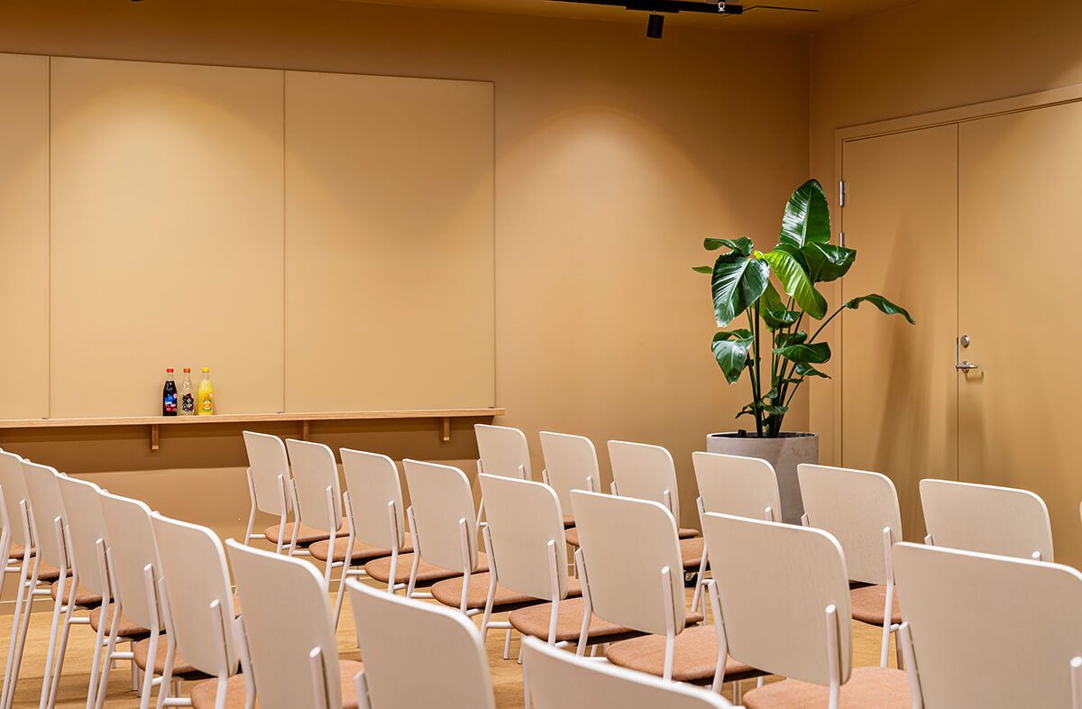 Helio Malmös största och ljusa konferensrum Brown