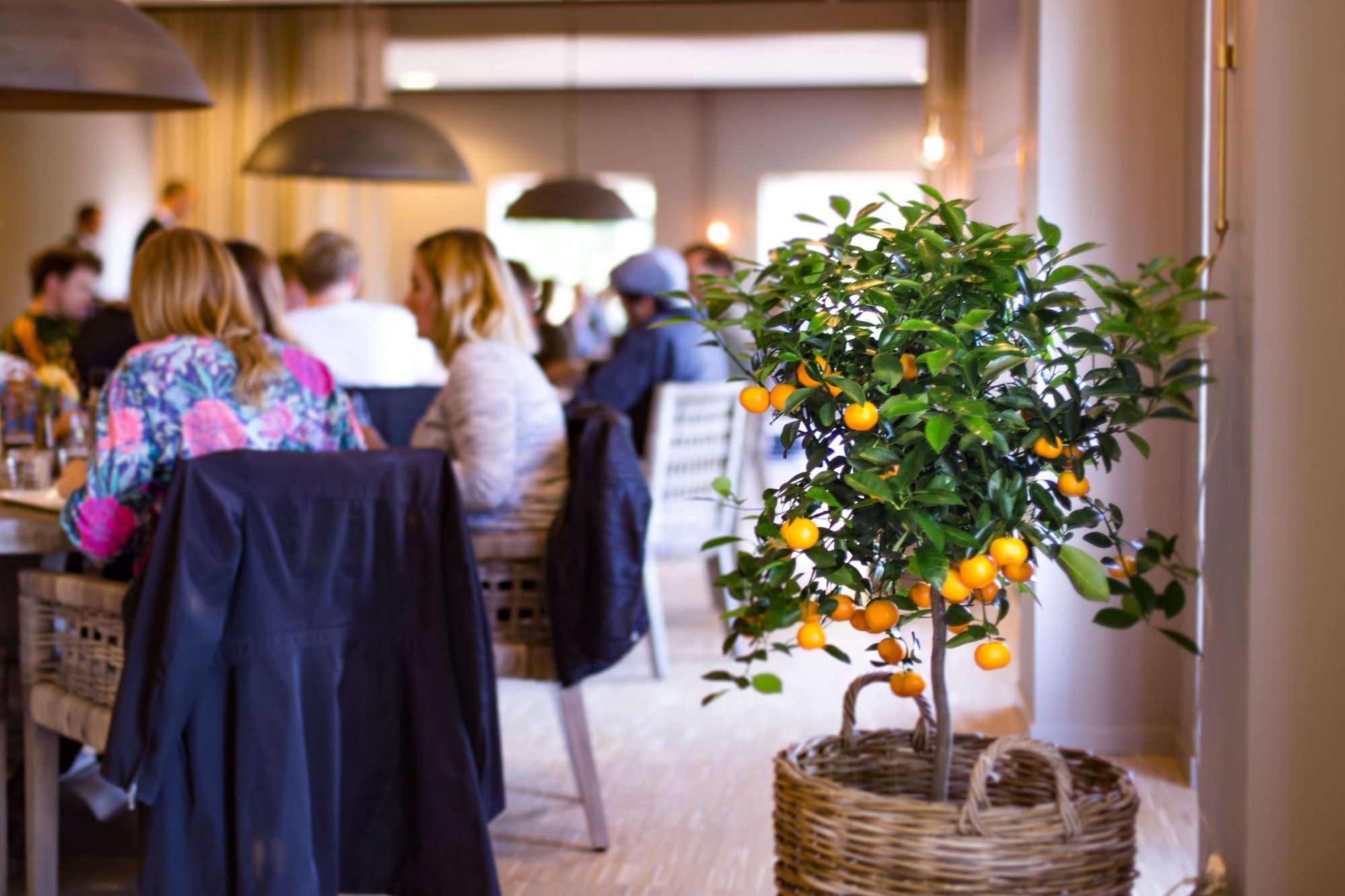 Lumafabrikens restaurang med utsikt över Hammarbykanalen