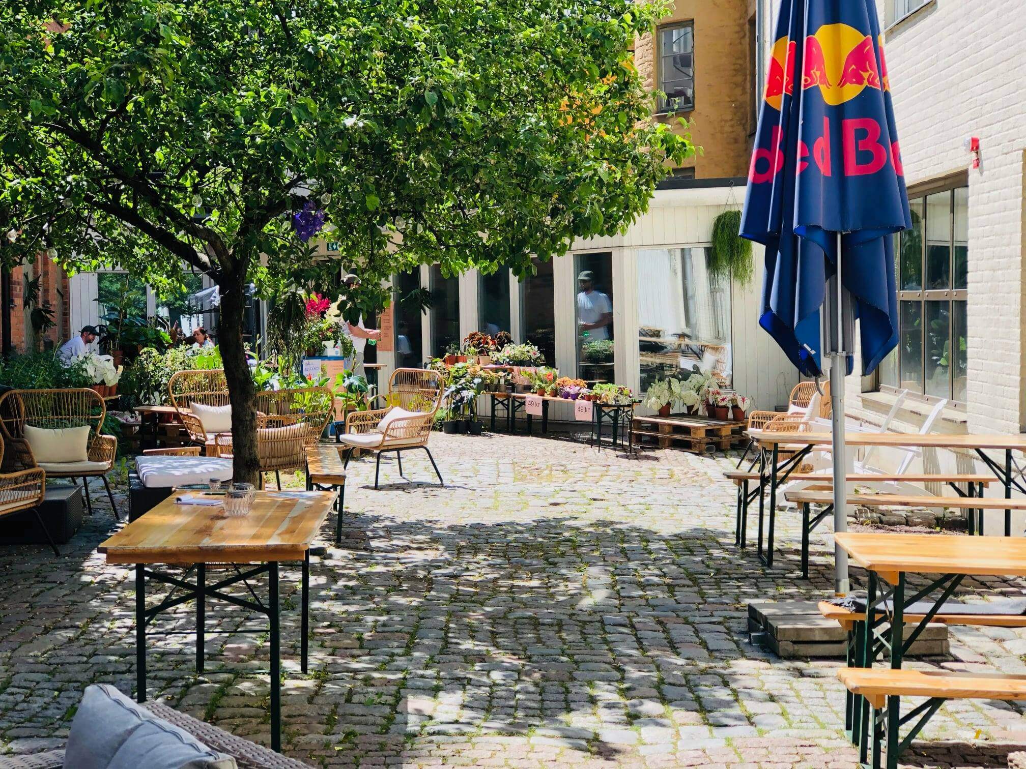 Bjud in till fest på Uppsalas mest fantastiska innergård på Hotell Botanika