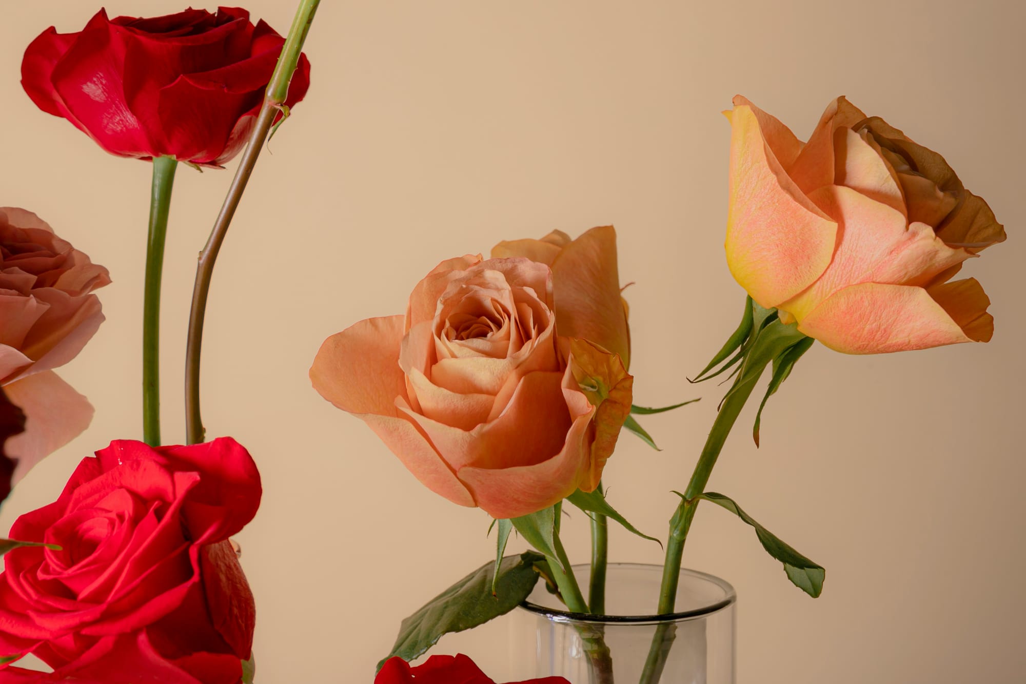 Röda och aprikosfärgade rosor i glasvas – enkel och elegant blomdekoration för alla hjärtans dag fest idéer med romantisk känsla