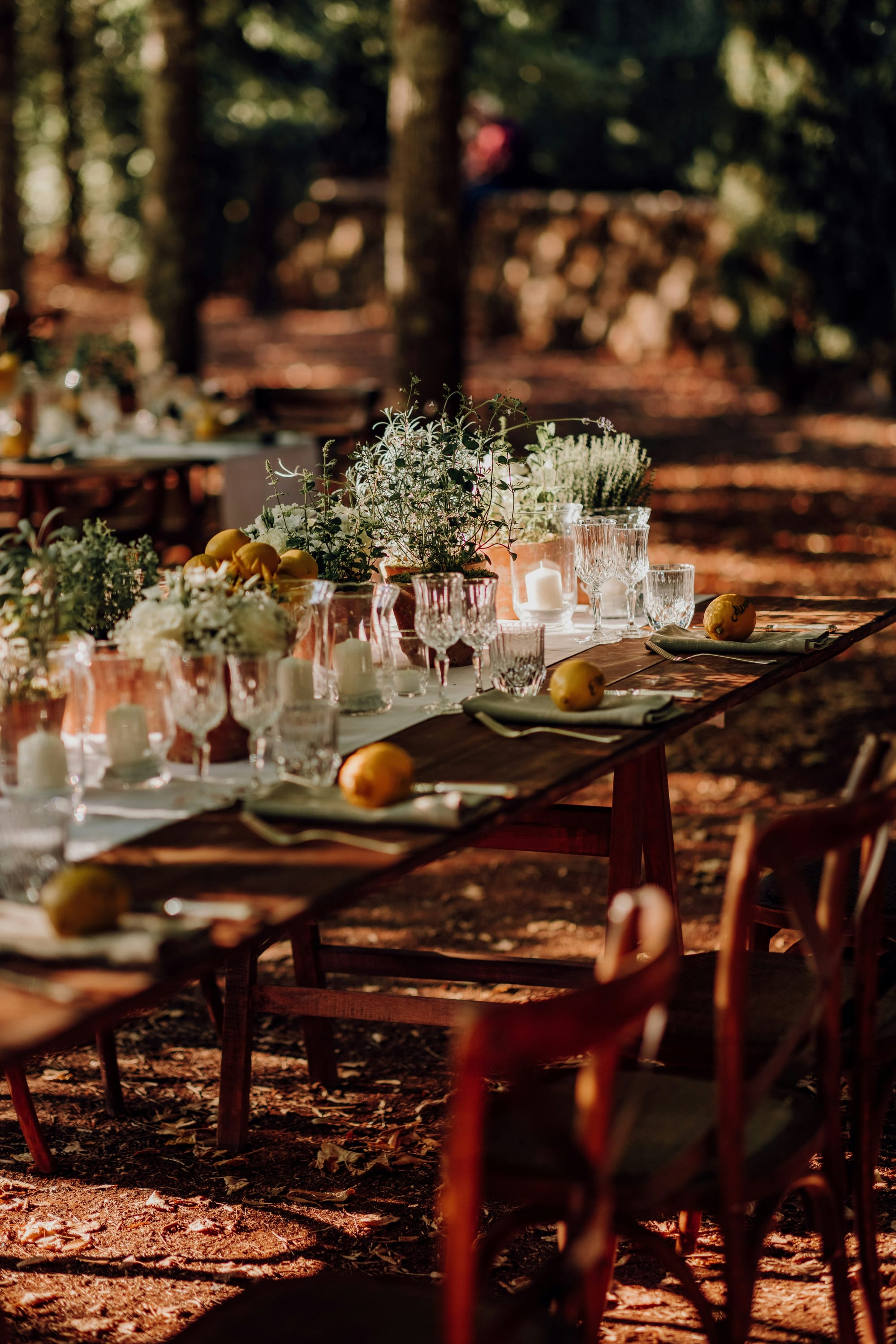 Vackert dukat långbord i skogen med glas, levande ljus och höstiga dekorationer.