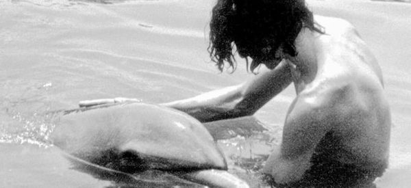 Wet Goddess: Recollections of a Dolphin Lover (Written Review)
