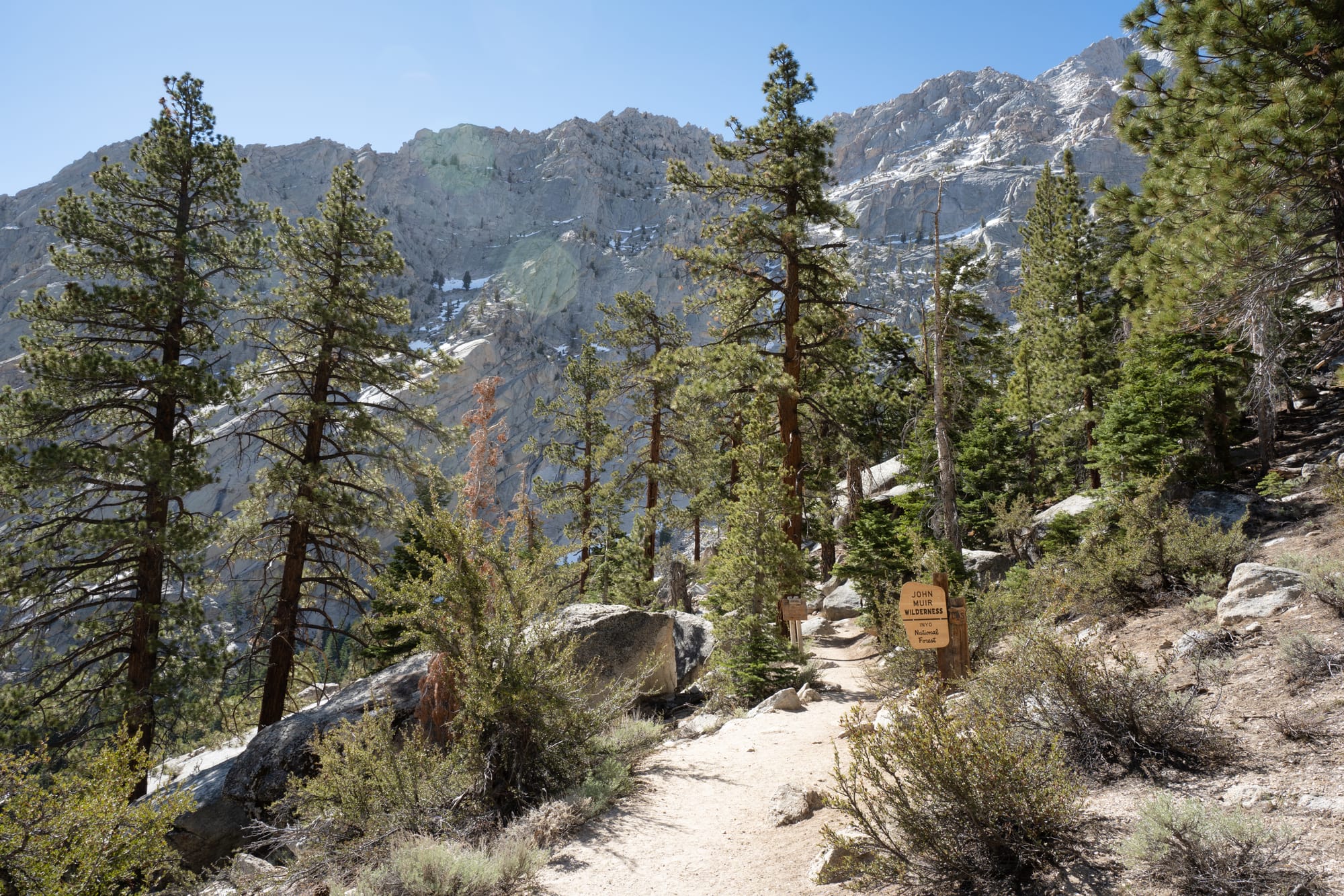 Entering John Muir's wilderness