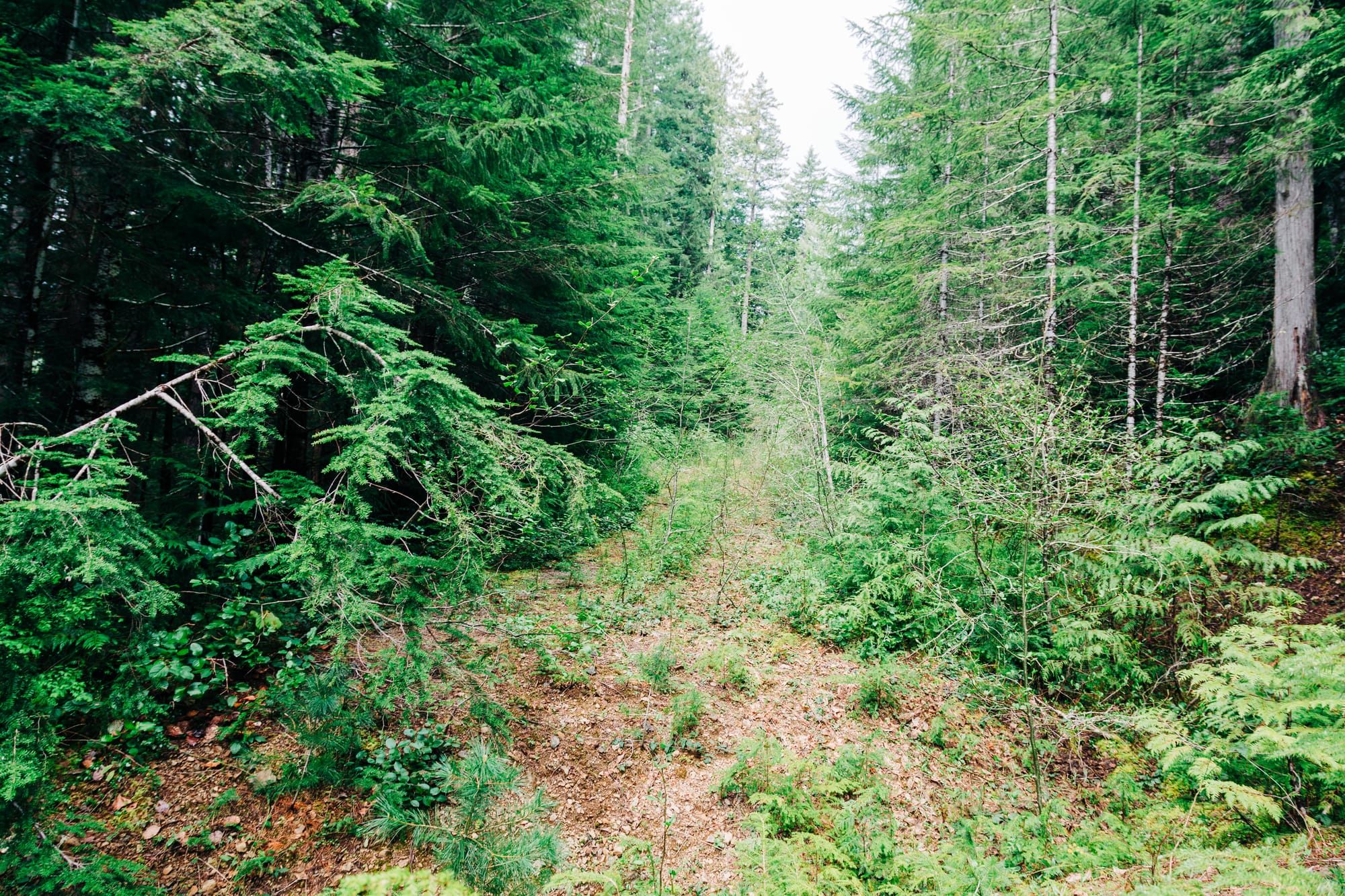 'Good' section of the road
