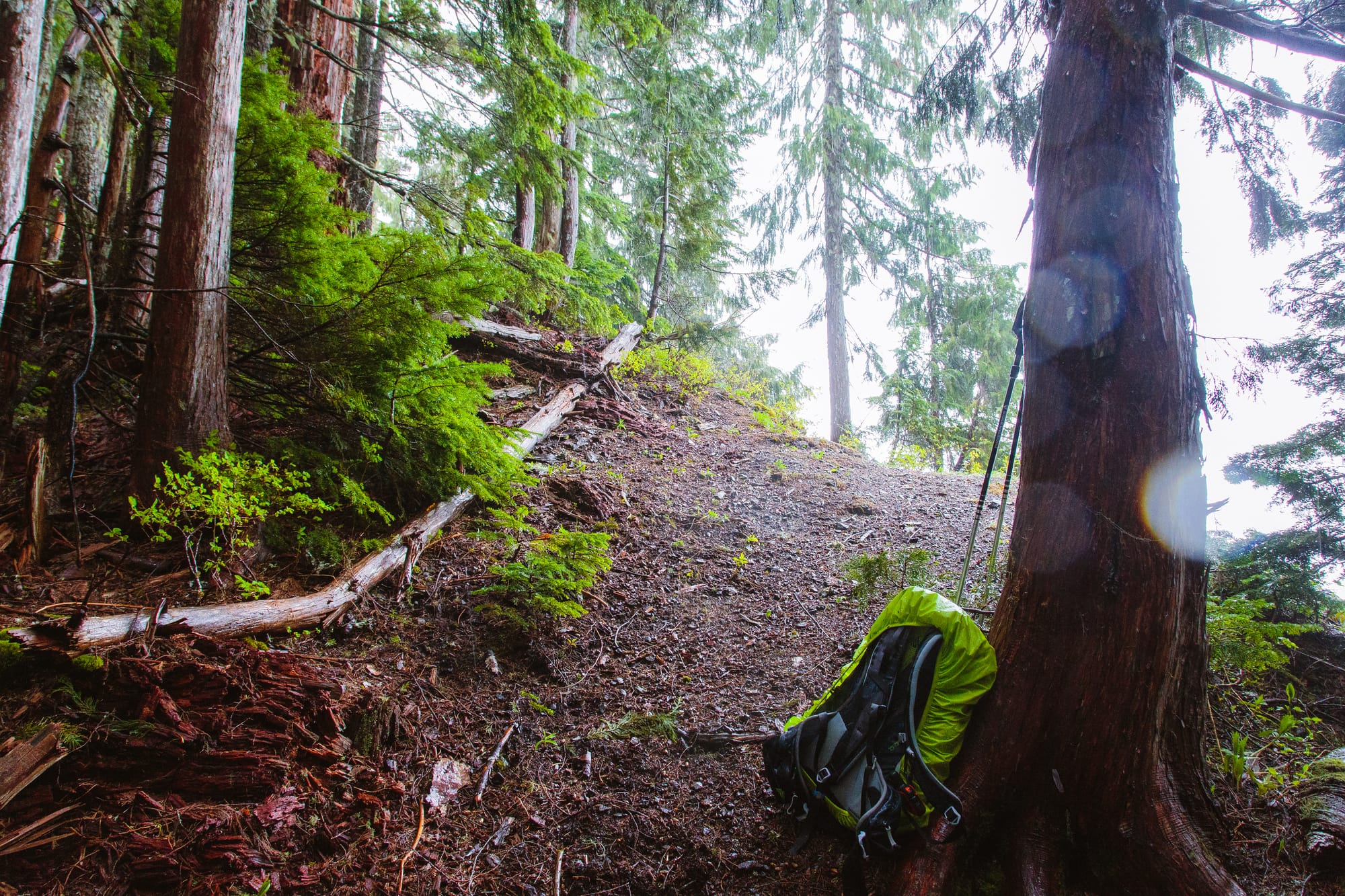 Climber's trail on the left