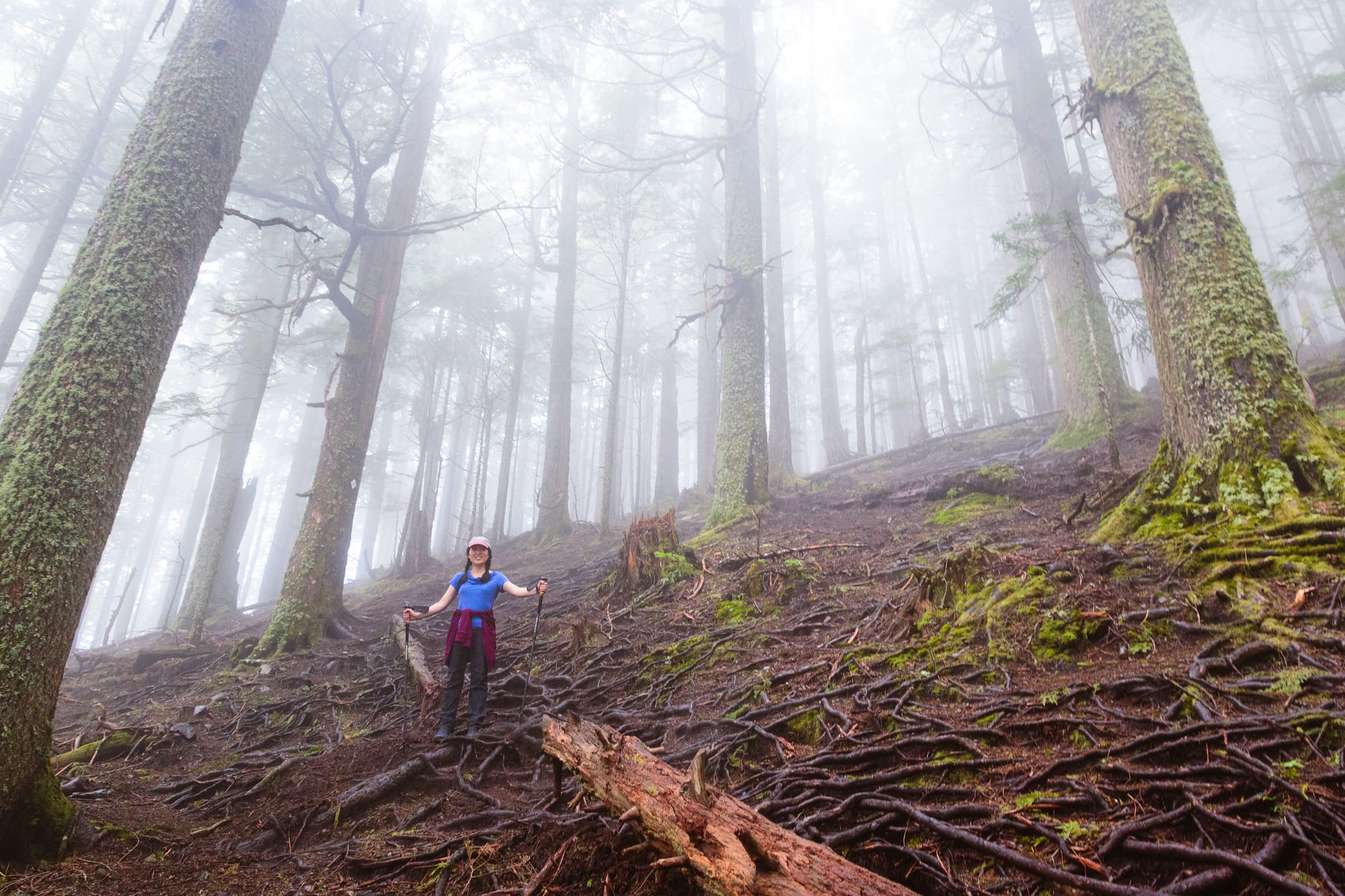 Misty old trail
