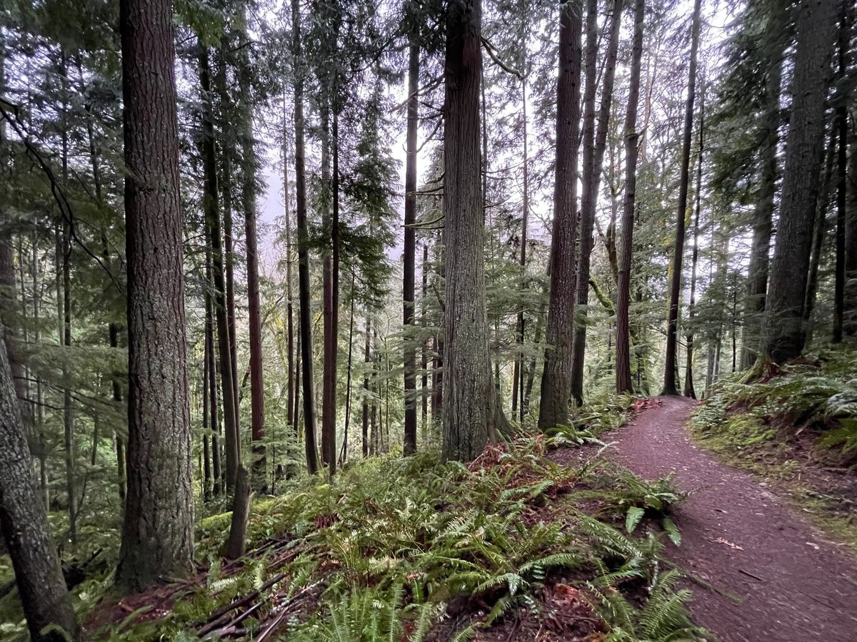 West Tiger Mountain