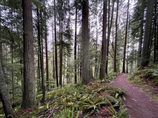 West Tiger Mountain