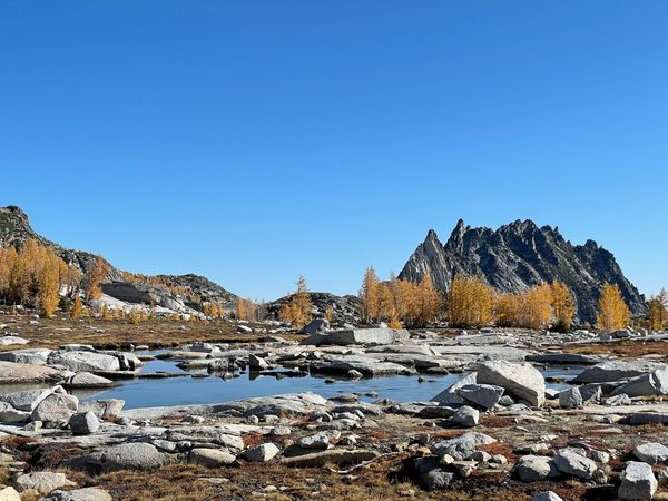 The Enchantments