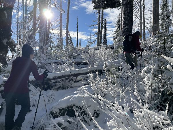 Mount Rose