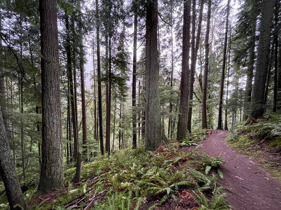 West Tiger Mountain