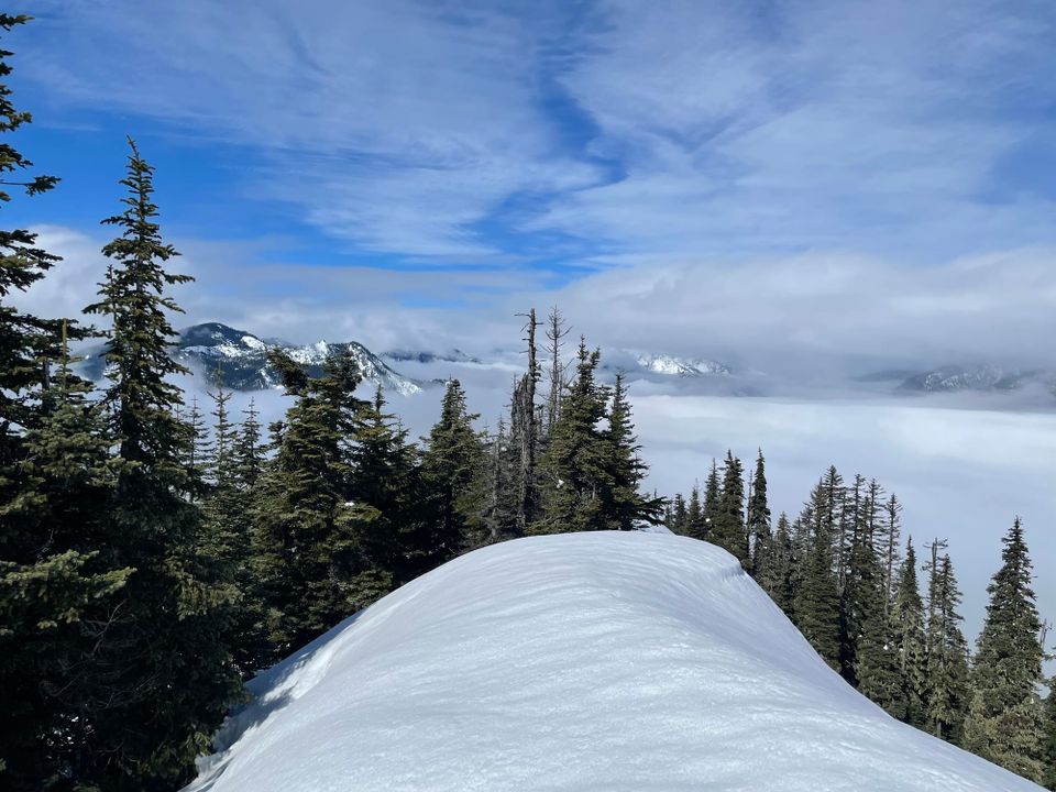 Amabilis Mountain