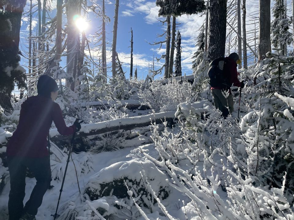 Mount Rose