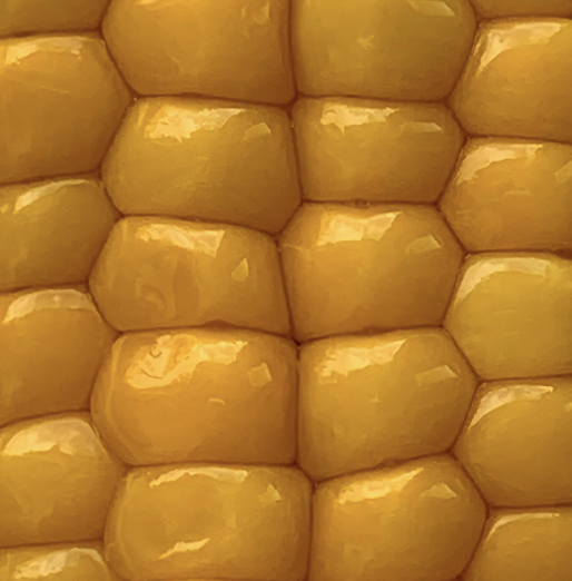 Screenshot 2025-07-02 at 6.04.58 PM.png