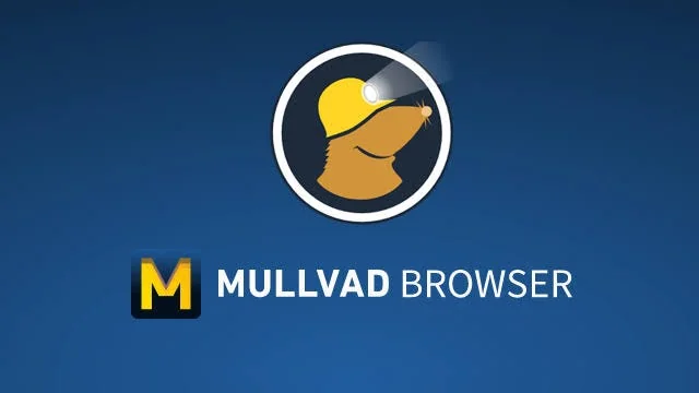 Mullvad Browser: A Practical Tool to Reduce Web Tracking and Profiling