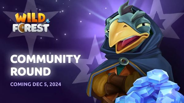 🌲 Wild Forest Community Round: Key Details! 📄💰🔥
