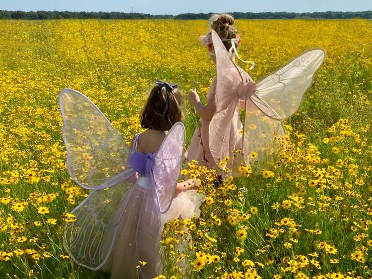 Sorry, But Whimsy Can’t Be Bought (No Matter How Much You Spend)
