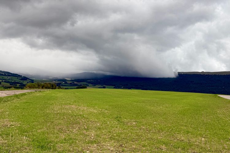 Storm on the Horizon