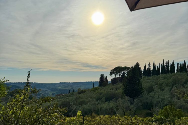 Images That Refuse to Hurry