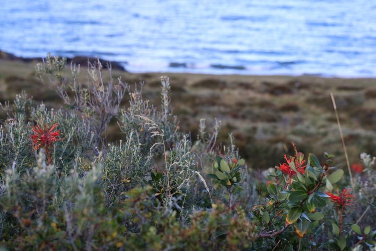 Crossing Thresholds Every Five Years