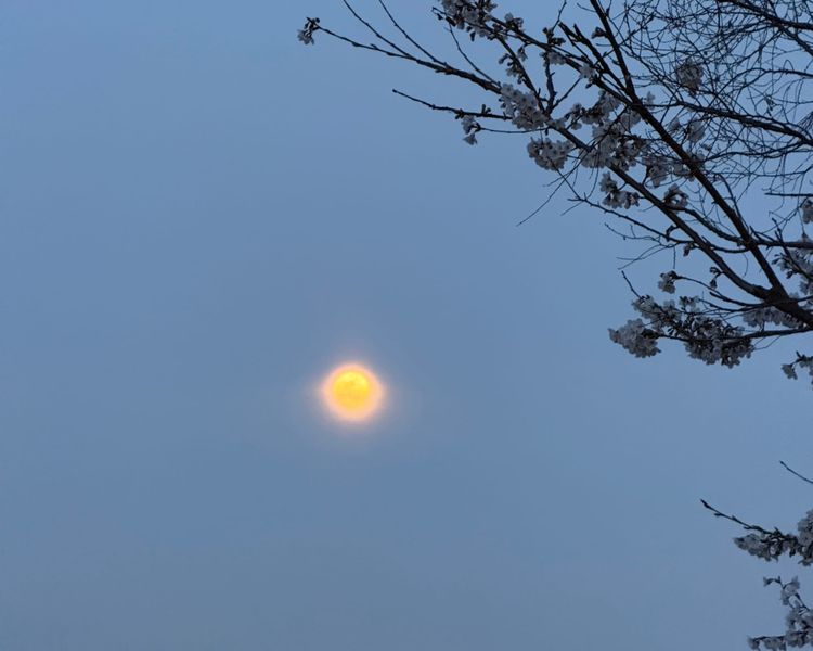 What the Crossing Border Framework Actually Is