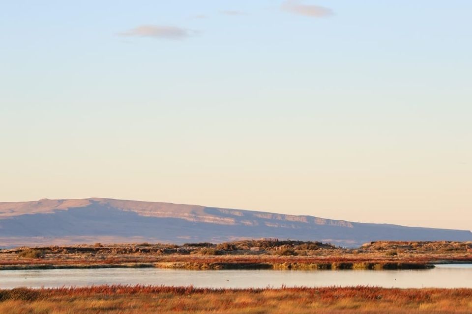 What Tech Didn’t Teach Me — and Coaching Did